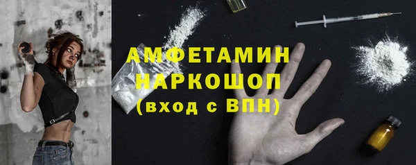молекула духа Переславль-Залесский