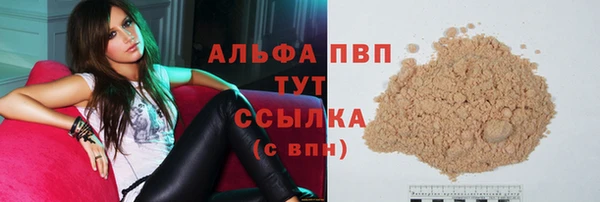 молекула духа Переславль-Залесский