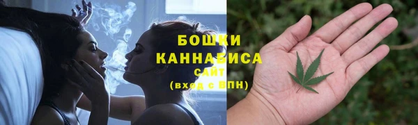 молекула духа Переславль-Залесский