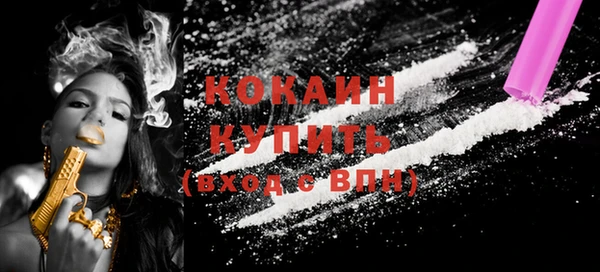 шишки Пересвет