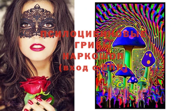 шишки Пересвет