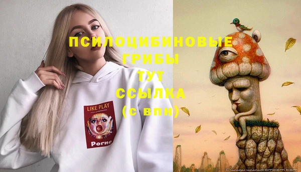 шишки Пересвет
